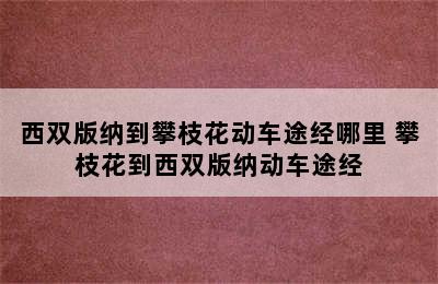 西双版纳到攀枝花动车途经哪里 攀枝花到西双版纳动车途经